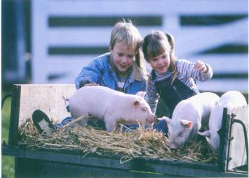 室內采暖系統（熱水伴熱，養殖采暖，太陽能伴熱）